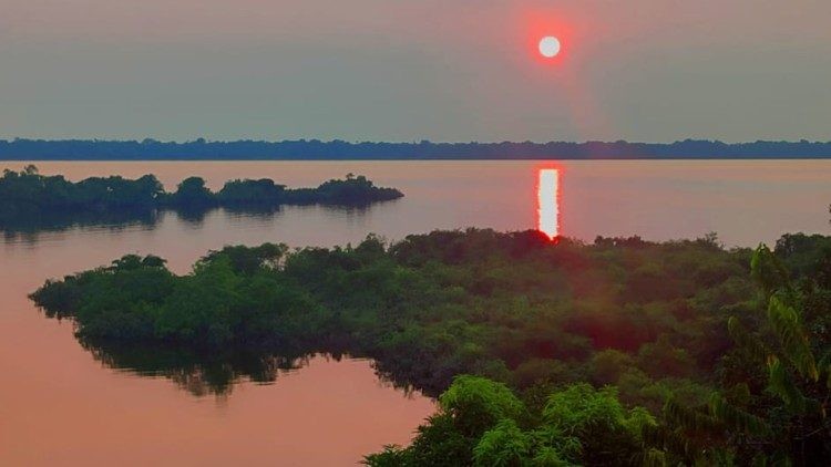 Doce años de pontificado del Papa Francisco: su compromiso con la protección de la Amazonía