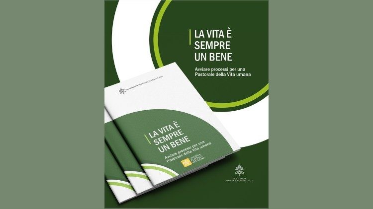 La Vida es siempre un bien: el Dicasterio para los Laicos, Familia y Vida conmemora 30 años de Evangelium vitae