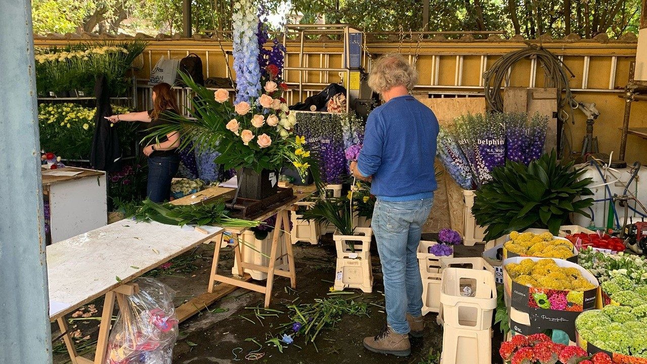 La Basílica de San Pedro se llena de 10.000 ramos de flores holandesas
