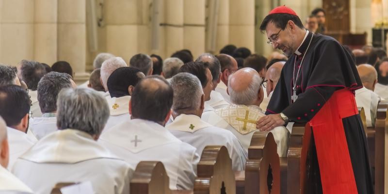 El cardenal Cobo envía un mensaje de cercanía espiritual desde Roma